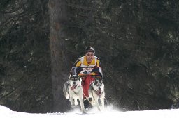 San Bernardino 2008